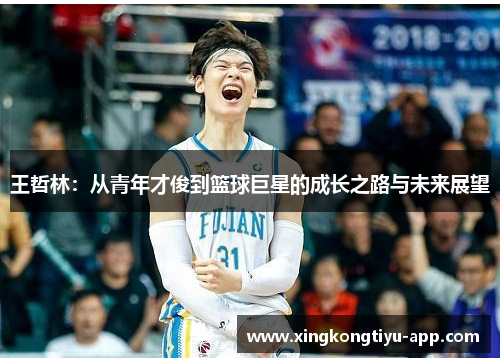 王哲林：从青年才俊到篮球巨星的成长之路与未来展望