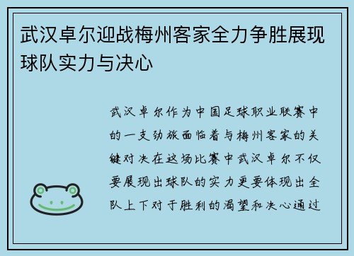 武汉卓尔迎战梅州客家全力争胜展现球队实力与决心
